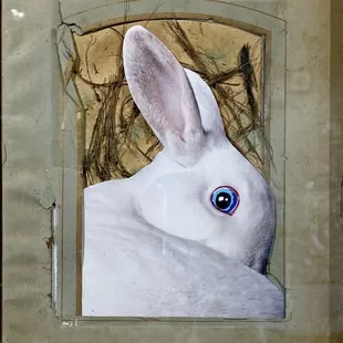 &quot;In the Burrow&quot; $300.  mixed media collage by Marty Lewis mjlewisart.com  To purchase art contact: hydeparkaustinart@gmail.…