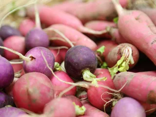 Northside Farmers Market