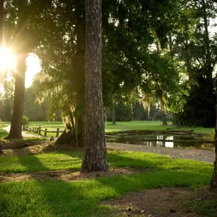 Hyde Park Golf Club, Jacksonville, FL
