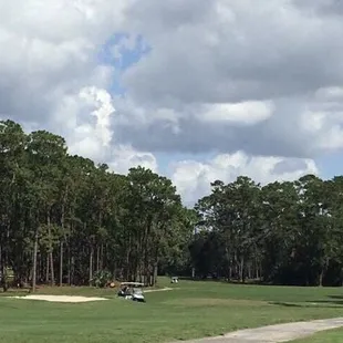Pine trees line this 2nd oldest course in Jacksonville