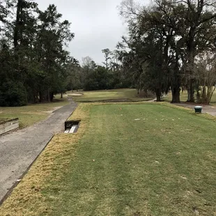 Hole 17 par 3