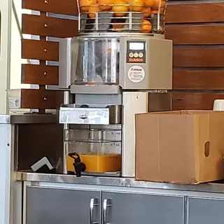 Fresh Squeezed Orange Juice