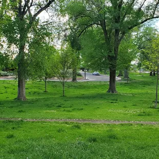 Hey!!!!happy wacky walking Wednesday yelpers!!!