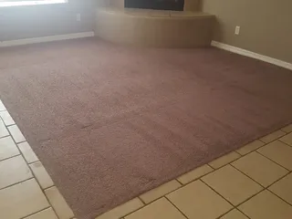 Big Bird's Carpet Cleaning