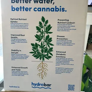 better water, better cannabis