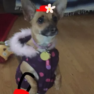 A. S.