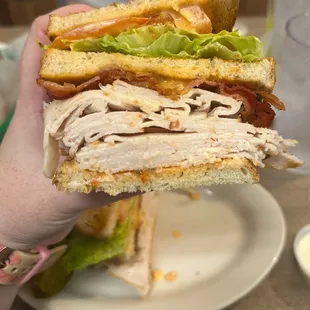 food, sandwich, sandwiches