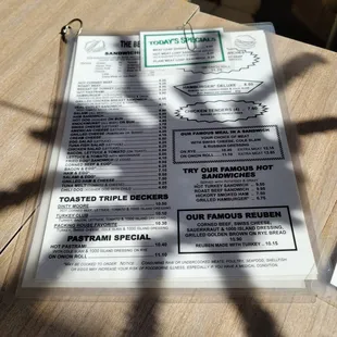 Halloween menu. The spider decal was on the window. I sat down and saw the perfect shadow.