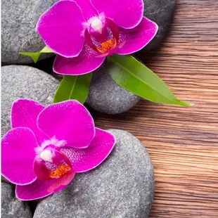 HYH Massage & Reflexology