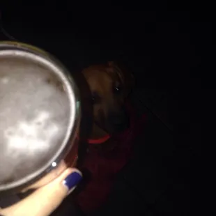 Even our pup got to sit at the bar and enjoy a cold one ;)