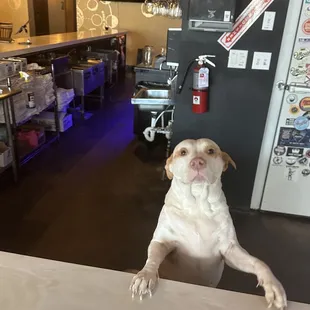 Sky is the most beautiful bartender in town!!!