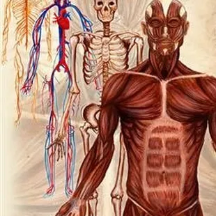 Your body is more than the sum of its parts.  You can not get treated for individual symptoms and expect to receive lasting results!