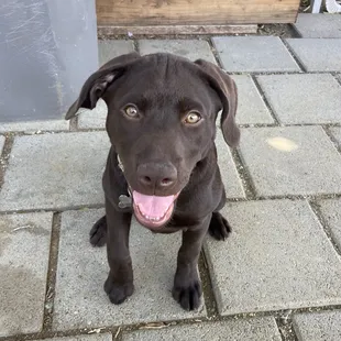 Molly enjoyed the car buying process too!