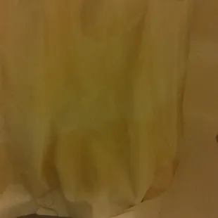 Nasty shower curtain