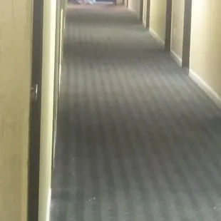 Hall doors left open for the homeless to sleep in the door way.