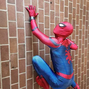 Spider man climbing a wall