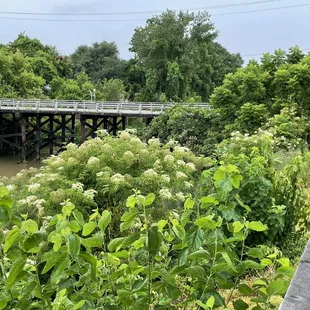 Beautiful view from picnic tables.