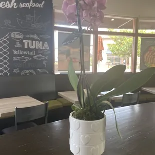 interior, sushi and sashimi