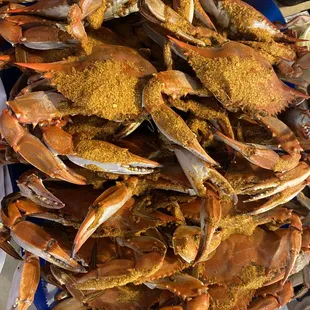 food, oysters and mussels