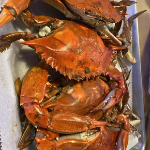 Blue Crabs