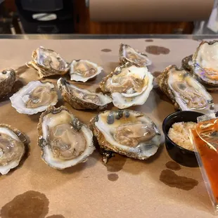 Fresh Oysters