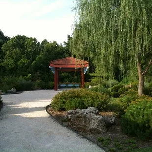 Chinese garden
