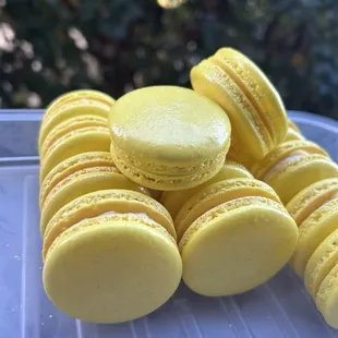 Lemon Macaron-seasonal flavor