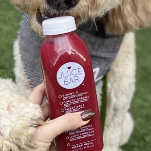 Even dog love our Sweet Beet!