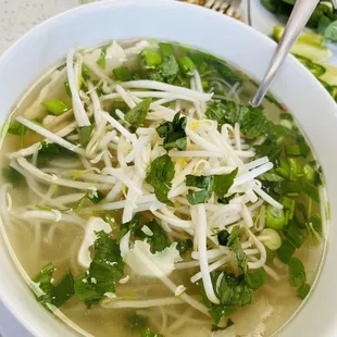 Large P3. Chicken Pho