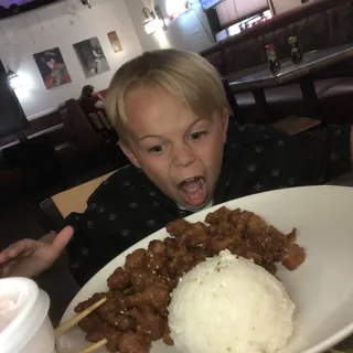 Orange Chicken Entree