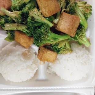 Broccoli Tofu