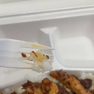 Rice and chicken with a side of hair anyone