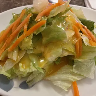 Side salad (served with Salmon Teriyaki)