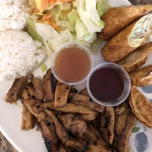 Teriyaki chicken, egg roll and gyoza