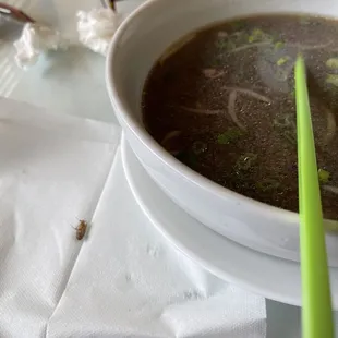 Roach in my Pho second time.