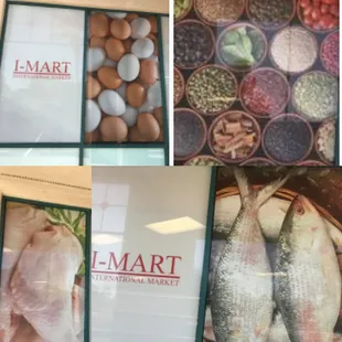 a variety of fresh fish