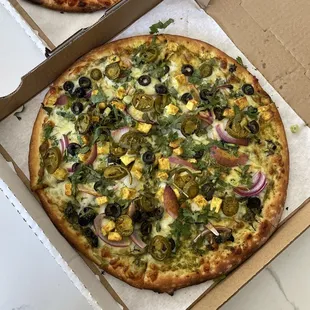 Pesto Paneer Pizza