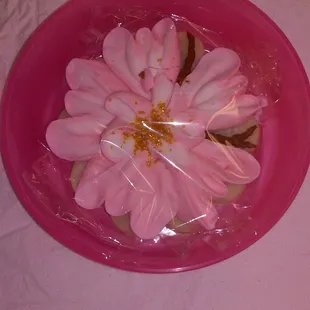 even Tupperware didn't protect it from breaking