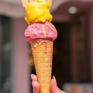 a hand holding a cone of gelato