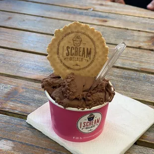 Chocolate gelato (size small)