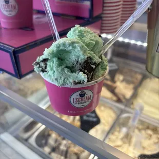 Mint Chocolate Chip