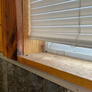 Dead flies in window sill. There are about 4 of them. They've been there for a while..