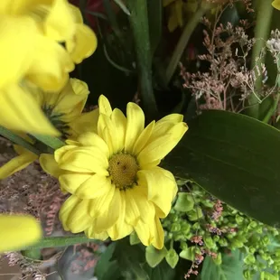 Wilted flowers