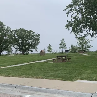 No pets allowed, really ?