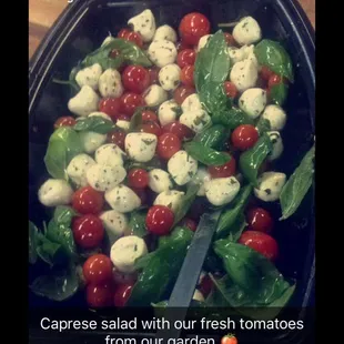 Fresh salads
