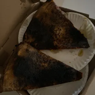 two slices of pizza on a paper plate