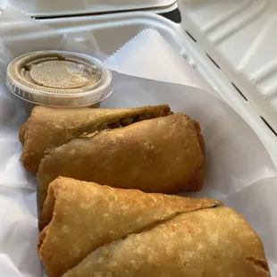 Tex Mex Egg Rolls