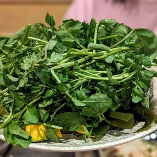 a plate of fresh greens on a table