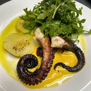 Pulpo