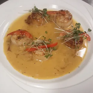 Scallops